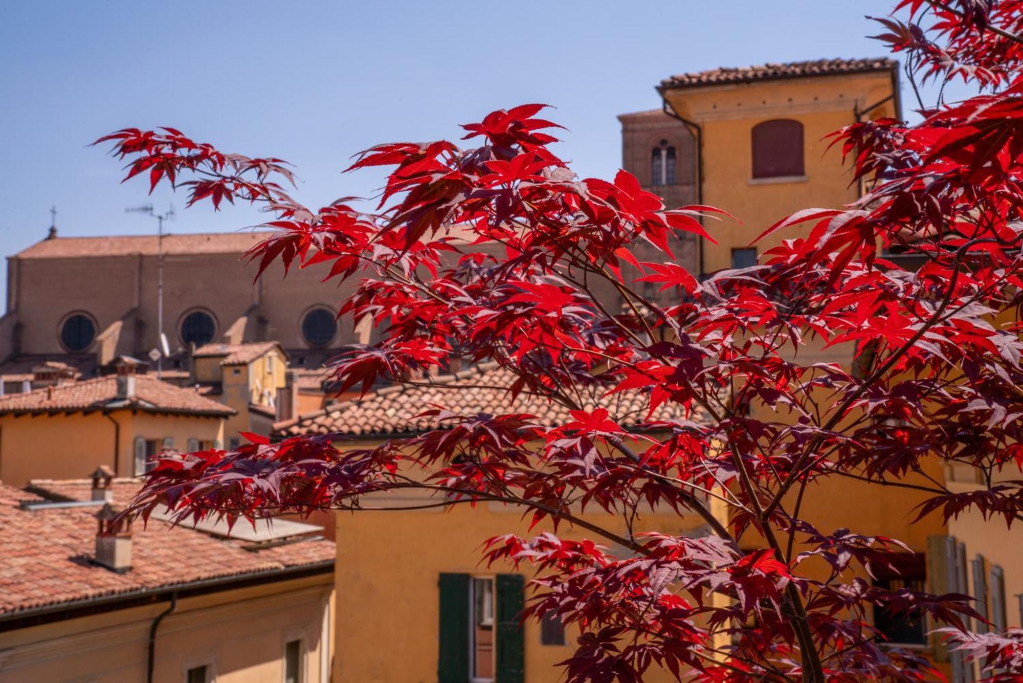 بولونيا Piazza Maggiore Santa Margherita B&B الغرفة الصورة